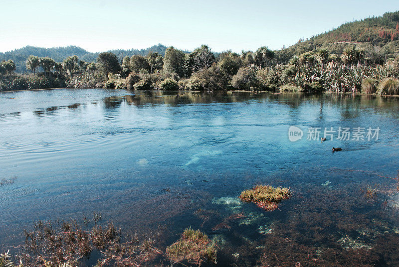 纯净的淡水景观，新西兰/ Aotearoa